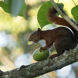 _1190019_01-DeNoiseAI-clear