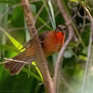 WhatsApp Image 2023-12-16 at 4.05.23 PM (1)