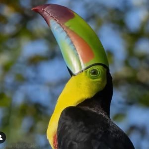 WhatsApp Image 2023-12-16 at 4.05.23 PM